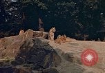 Immagine di Eva Braun Germania, 1940, secondo 8 filmato di repertorio 65675048102