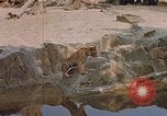 Immagine di Eva Braun Germania, 1940, secondo 9 filmato di repertorio 65675048102