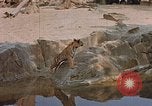 Immagine di Eva Braun Germania, 1940, secondo 10 filmato di repertorio 65675048102