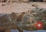 Immagine di Eva Braun Germania, 1940, secondo 11 filmato di repertorio 65675048102