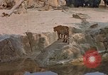 Immagine di Eva Braun Germania, 1940, secondo 14 filmato di repertorio 65675048102
