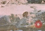 Immagine di Eva Braun Germania, 1940, secondo 15 filmato di repertorio 65675048102