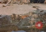 Immagine di Eva Braun Germania, 1940, secondo 18 filmato di repertorio 65675048102