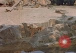 Immagine di Eva Braun Germania, 1940, secondo 19 filmato di repertorio 65675048102