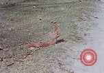 Immagine di Eva Braun Germania, 1940, secondo 32 filmato di repertorio 65675048102