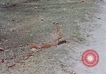 Immagine di Eva Braun Germania, 1940, secondo 33 filmato di repertorio 65675048102