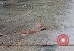 Immagine di Eva Braun Germania, 1940, secondo 34 filmato di repertorio 65675048102