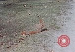 Immagine di Eva Braun Germania, 1940, secondo 35 filmato di repertorio 65675048102