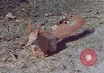 Immagine di Eva Braun Germania, 1940, secondo 36 filmato di repertorio 65675048102