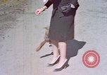 Immagine di Eva Braun Germania, 1940, secondo 40 filmato di repertorio 65675048102