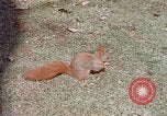 Immagine di Eva Braun Germania, 1940, secondo 46 filmato di repertorio 65675048102