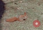 Immagine di Eva Braun Germania, 1940, secondo 50 filmato di repertorio 65675048102