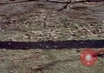 Immagine di Eva Braun Germania, 1940, secondo 55 filmato di repertorio 65675048102