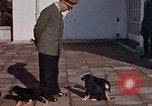 Standbild Adolf Hitler am Berghof Bayern Deutschland, 1940, aus Sekunde 33 historischem Filmmaterial Videoclip 65675048104