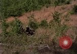 Standbild USA Soldaten United States USA, 1967, aus Sekunde 34 historischem Filmmaterial Videoclip 65675048108