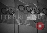 Image of 1936 Olympic athletes Elstal Wustermark Germany, 1936, second 35 stock footage video 65675048117