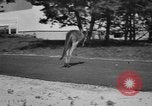 Immagine di Gli atleti olimpici nella formazione 1936 Elstal Wustermark Germania, 1936, secondo 50 filmato di repertorio 65675048118