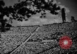 Immagine di 1936 Olimpiadi di cerimonie di apertura Berlino Germania, 1936, secondo 5 filmato di repertorio 65675048119