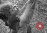 Immagine di A calisthenics 1936 Olimpiadi cerimonia di apertura Berlino Germania, 1936, secondo 12 filmato di repertorio 65675048120
