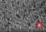 Immagine di A calisthenics 1936 Olimpiadi cerimonia di apertura Berlino Germania, 1936, secondo 60 filmato di repertorio 65675048120