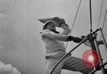 Immagine di Adolf Hitler osserva 1936 Olimpiadi regata Berlino Germania, 1936, secondo 62 filmato di repertorio 65675048121