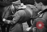 Image of Combination Cross Country Equestrian event 1936 Olympics Berlin Germany, 1936, second 32 stock footage video 65675048126