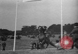 Image of Combination Cross Country Equestrian event 1936 Olympics Berlin Germany, 1936, second 47 stock footage video 65675048126