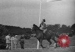 Image of Combination Cross Country Equestrian event 1936 Olympics Berlin Germany, 1936, second 48 stock footage video 65675048126