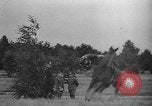 Image of Combination Cross Country Equestrian event 1936 Olympics Berlin Germany, 1936, second 61 stock footage video 65675048126