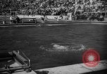 Image of 1936 Olympics womens springboard diving Berlin Germany, 1936, second 36 stock footage video 65675048127