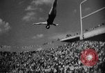 Image of 1936 Olympics womens springboard diving Berlin Germany, 1936, second 44 stock footage video 65675048127