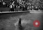 Image of 1936 Olympics womens springboard diving Berlin Germany, 1936, second 50 stock footage video 65675048127