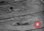 Image of 800 meter swim in 1936 Olympics Berlin Germany, 1936, second 51 stock footage video 65675048128