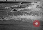 Image of 1936 Olympics 100 meter freestyle swim Berlin Germany, 1936, second 19 stock footage video 65675048129