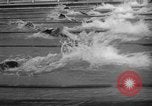Image of 1936 Olympics 100 meter freestyle swim Berlin Germany, 1936, second 22 stock footage video 65675048129