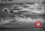 Image of 1936 Olympics 100 meter freestyle swim Berlin Germany, 1936, second 23 stock footage video 65675048129