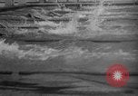 Image of 1936 Olympics 100 meter freestyle swim Berlin Germany, 1936, second 32 stock footage video 65675048129