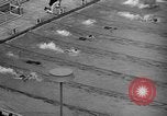 Image of 1936 Olympics 100 meter freestyle swim Berlin Germany, 1936, second 35 stock footage video 65675048129