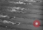 Image of 1936 Olympics 100 meter freestyle swim Berlin Germany, 1936, second 44 stock footage video 65675048129