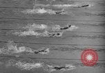 Image of 1936 Olympics 100 meter freestyle swim Berlin Germany, 1936, second 49 stock footage video 65675048129