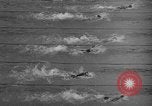 Image of 1936 Olympics 100 meter freestyle swim Berlin Germany, 1936, second 51 stock footage video 65675048129