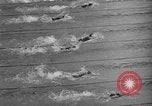 Image of 1936 Olympics 100 meter freestyle swim Berlin Germany, 1936, second 55 stock footage video 65675048129