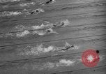 Image of 1936 Olympics 100 meter freestyle swim Berlin Germany, 1936, second 58 stock footage video 65675048129