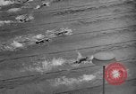 Image of 1936 Olympics 100 meter freestyle swim Berlin Germany, 1936, second 60 stock footage video 65675048129