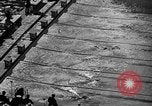 Image of 1936 Olympics Womens 100 meter swim Berlin Germany, 1936, second 8 stock footage video 65675048130