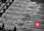 Image of 1936 Olympics Womens 100 meter swim Berlin Germany, 1936, second 9 stock footage video 65675048130