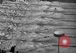 Image of 1936 Olympics Womens 100 meter swim Berlin Germany, 1936, second 11 stock footage video 65675048130
