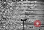Image of 1936 Olympics Womens 100 meter swim Berlin Germany, 1936, second 13 stock footage video 65675048130