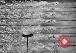 Image of 1936 Olympics Womens 100 meter swim Berlin Germany, 1936, second 14 stock footage video 65675048130
