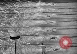 Image of 1936 Olympics Womens 100 meter swim Berlin Germany, 1936, second 15 stock footage video 65675048130